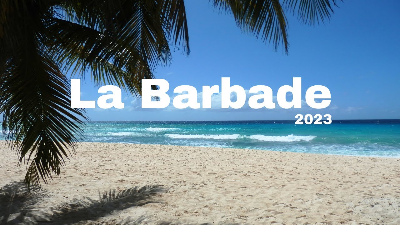 échange étudiant a La Barbade (récit d'une aventure hors du commun)