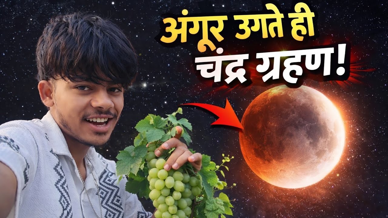 अंगूर उगते ही चंद्र ग्रहण 😱🍇 | सच या संयोग?