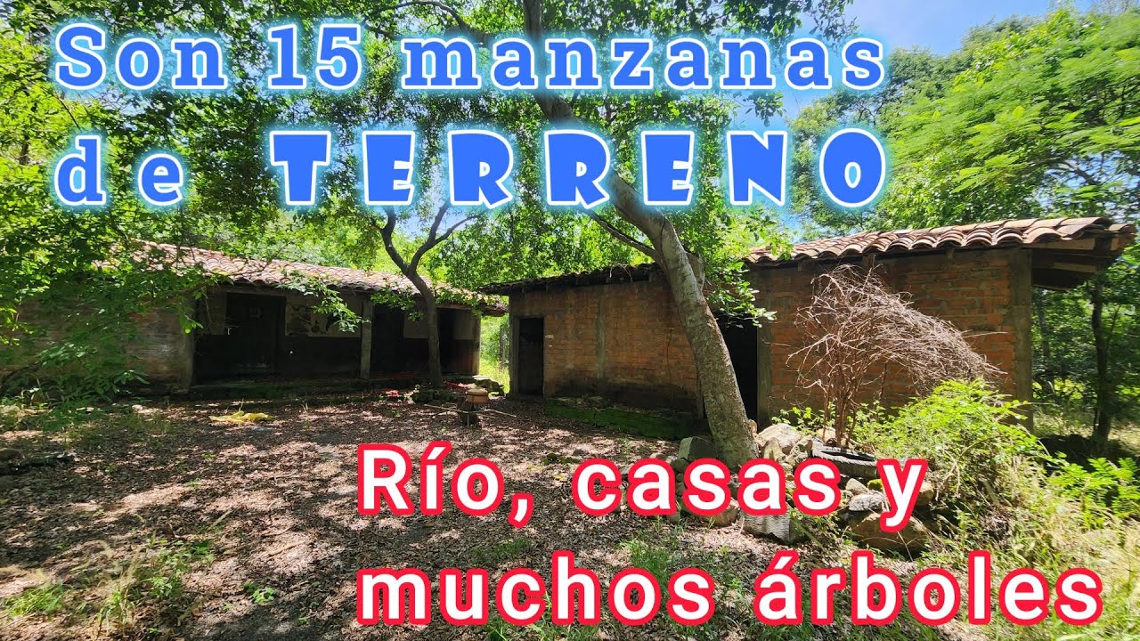 🔹$ 12.000 por Mz.🔹(NO DISPONIBLE) En Cantón Las Delicias, San Miguel, se vende este terreno