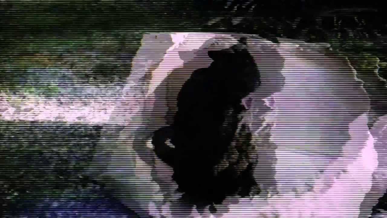 SLOTHRUST - 
