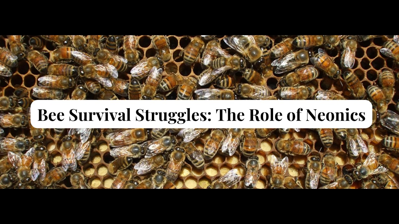 Bee Survival Struggles: The Role of Neonics