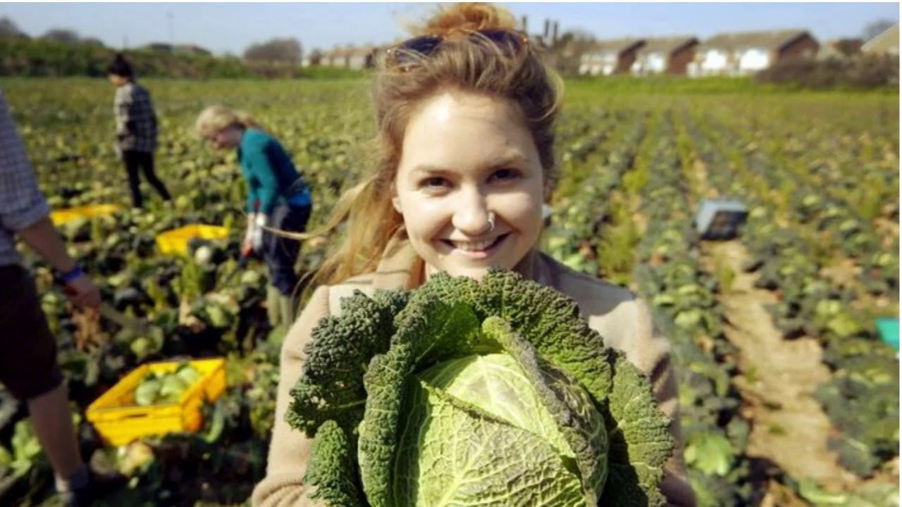 Improve Your Food Security - Episode Three - Food Waste, Food Security, and the Lost Art of Gleaning