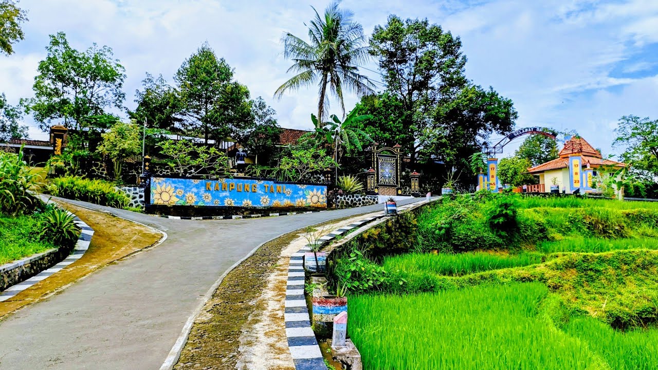 Kampung Tani: Kampung Indah Dengan Kesejukan Alamnya Tersembunyi Di Pedalaman