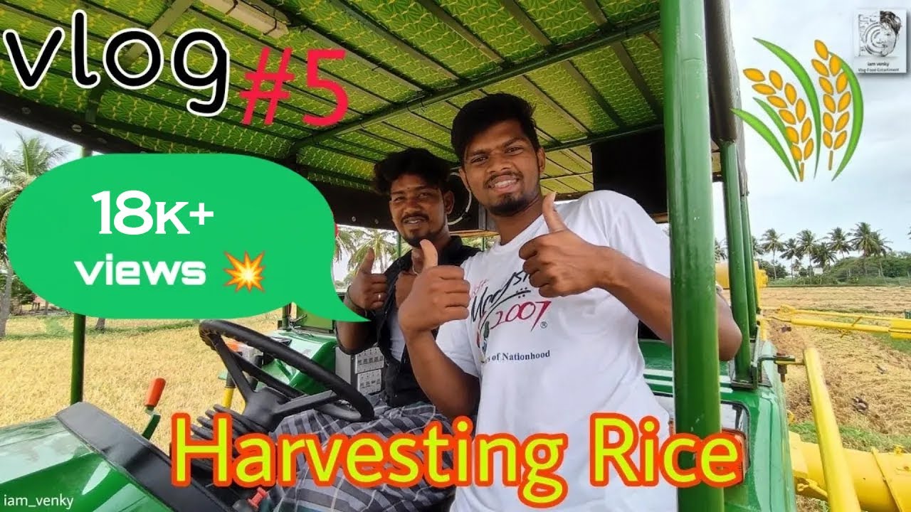 Vlog 5-Rice Harvesting-iam venky