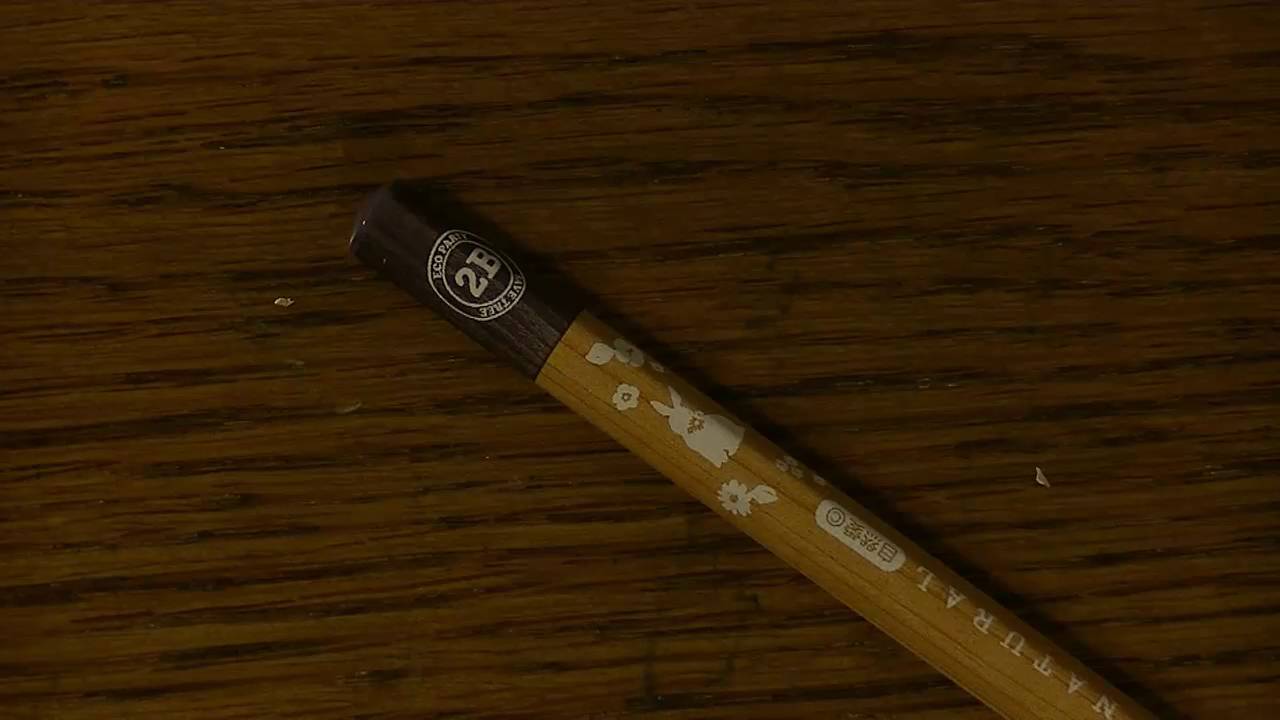 World's Best Pencil search | Ganssia 2B pencils review
