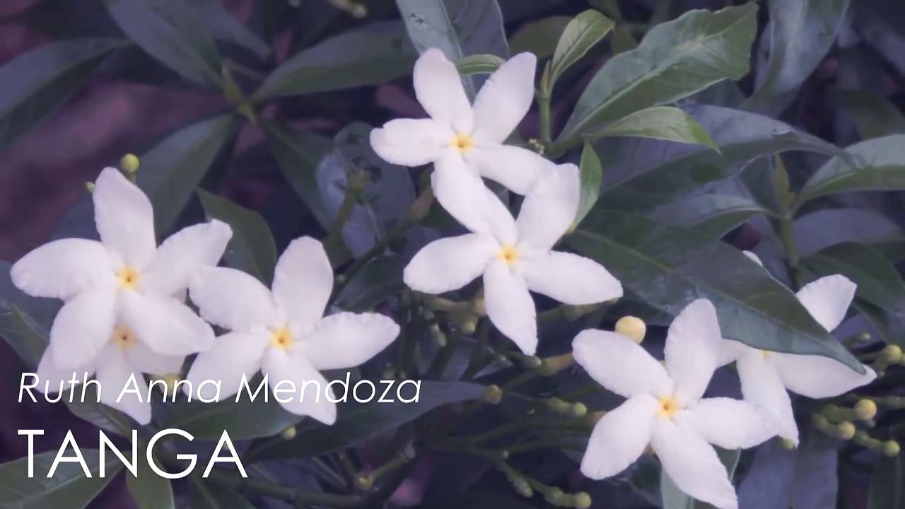 SoundCloud Philippines Falling In Letting Go Valentines Album Promotional Video