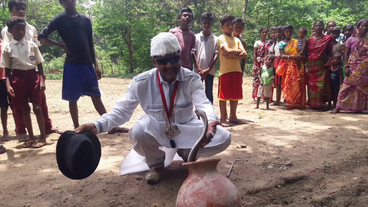 Venomous snake Cobra Awareness Program khairoedhi village snake rescue team Panchet dam(N G O)