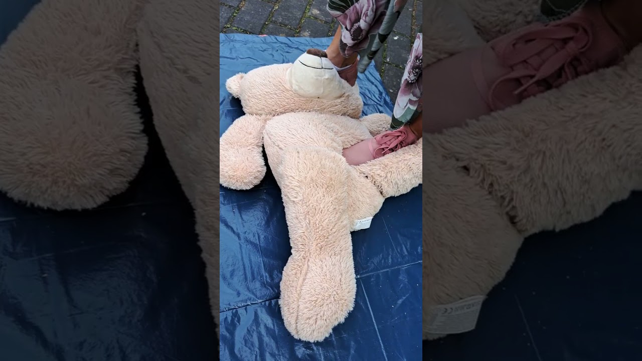 Lady Lilli trample Teddy
