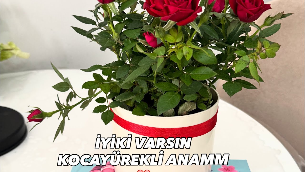 ELMASIN HAYATI kanalı canlı yayında