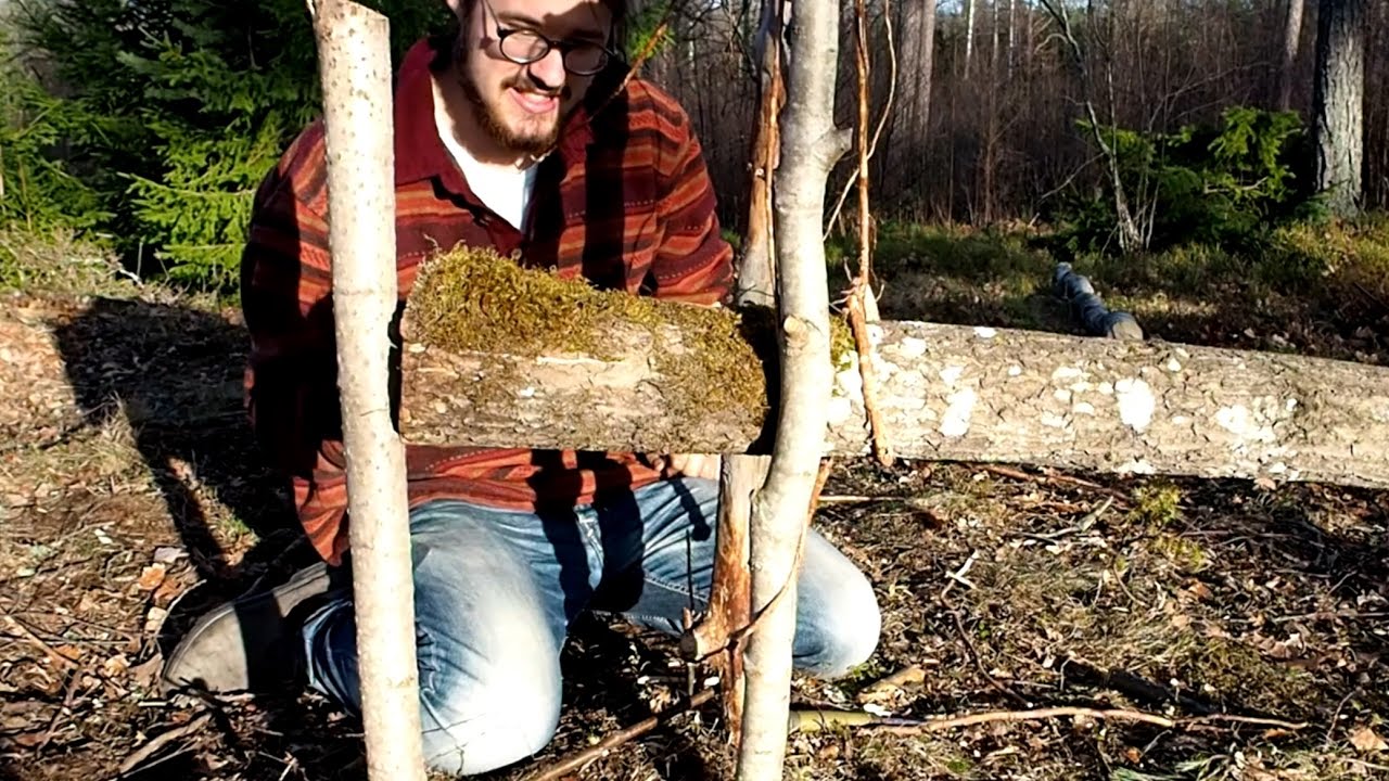 Building a primitive trap, using only materials from the forest.