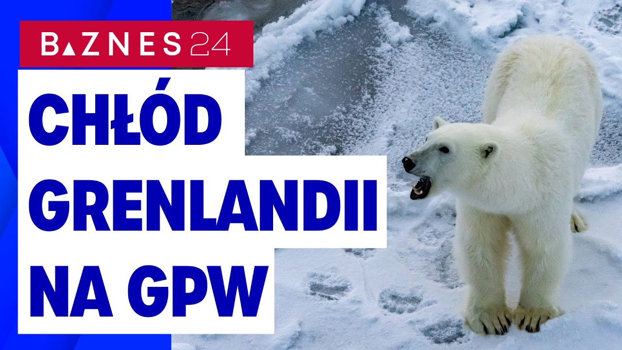 Niedźwiedzie z Grenlandii wystraszyły byki z Warszawy | GPW na minusie