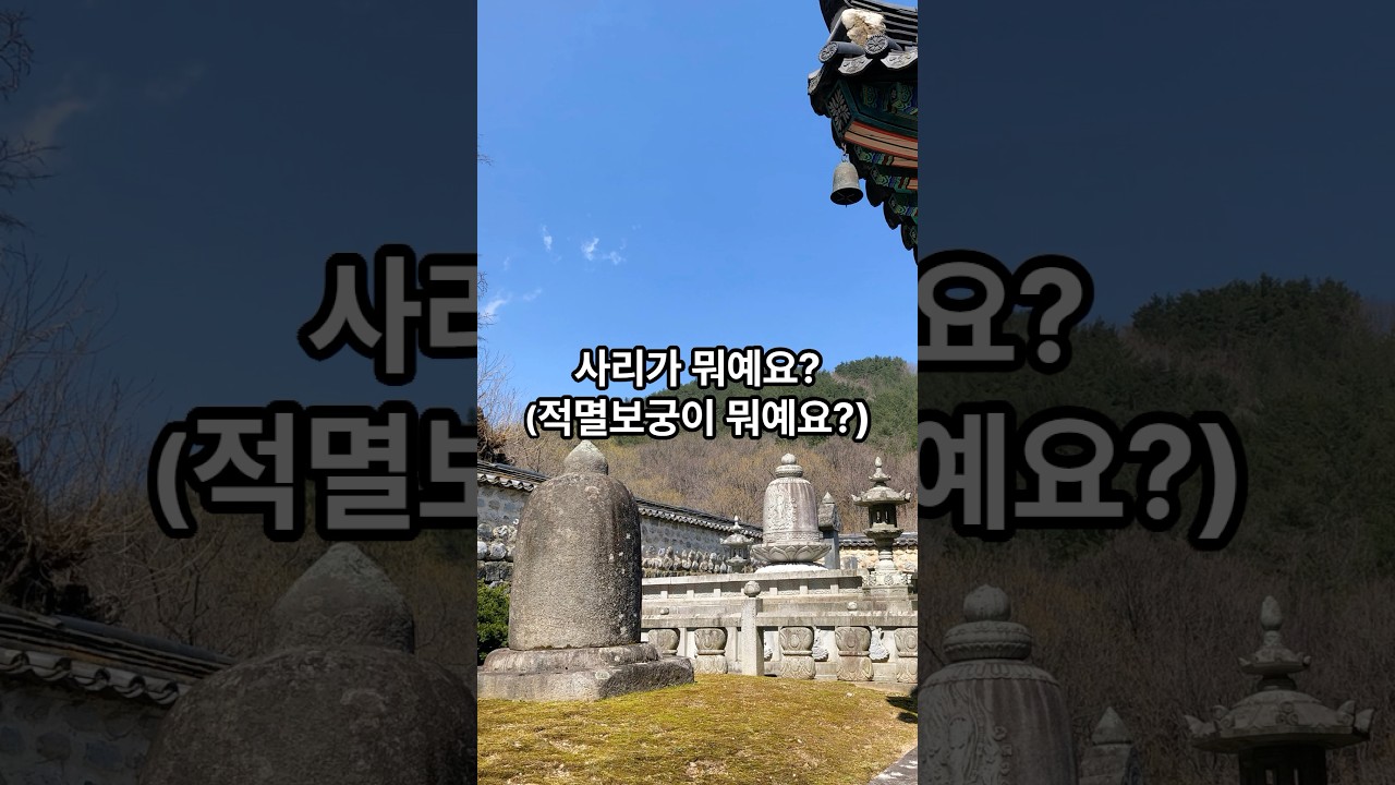 사리가 뭐예요? #불교 #사리 #적멸보궁 #寺刹