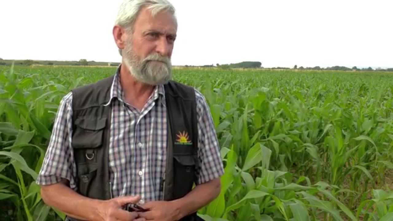 Transg&eacute;nicos: hablan los agricultores.