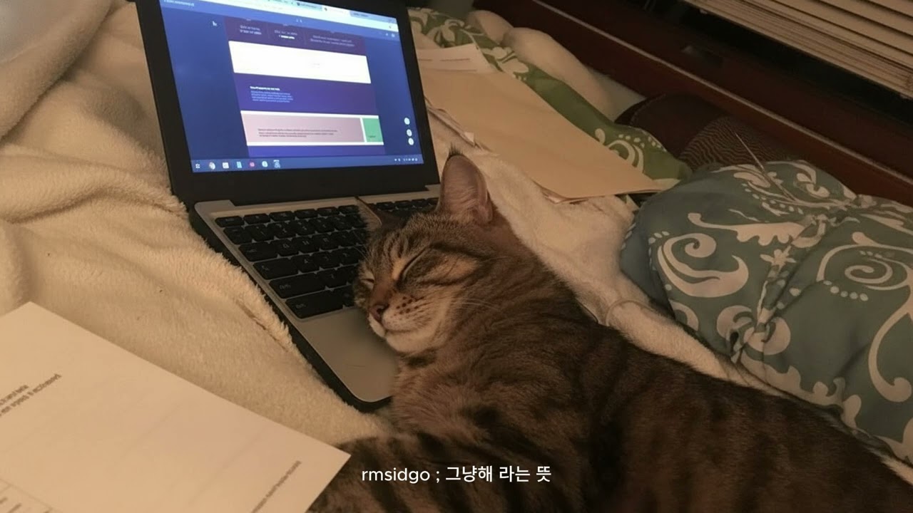𝑳𝒐𝒇𝒊 𝒑𝒍𝒂𝒚𝒍𝒊𝒔𝒕 ; 계속 미룰 때 듣는 (가사X)