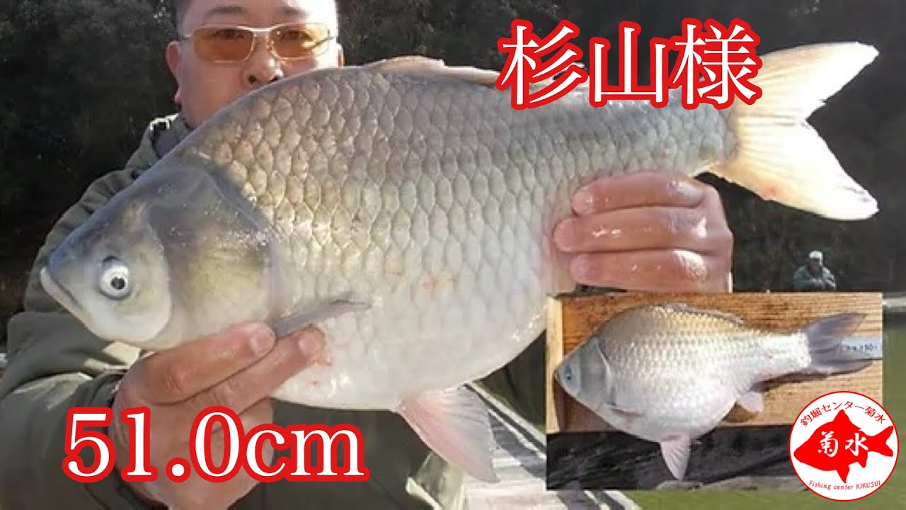 釣堀　菊水　51.0cm釣り上げて優勝の杉山様&47.2cm釣り上げて準優勝の沼田様　入賞インタビュー！！