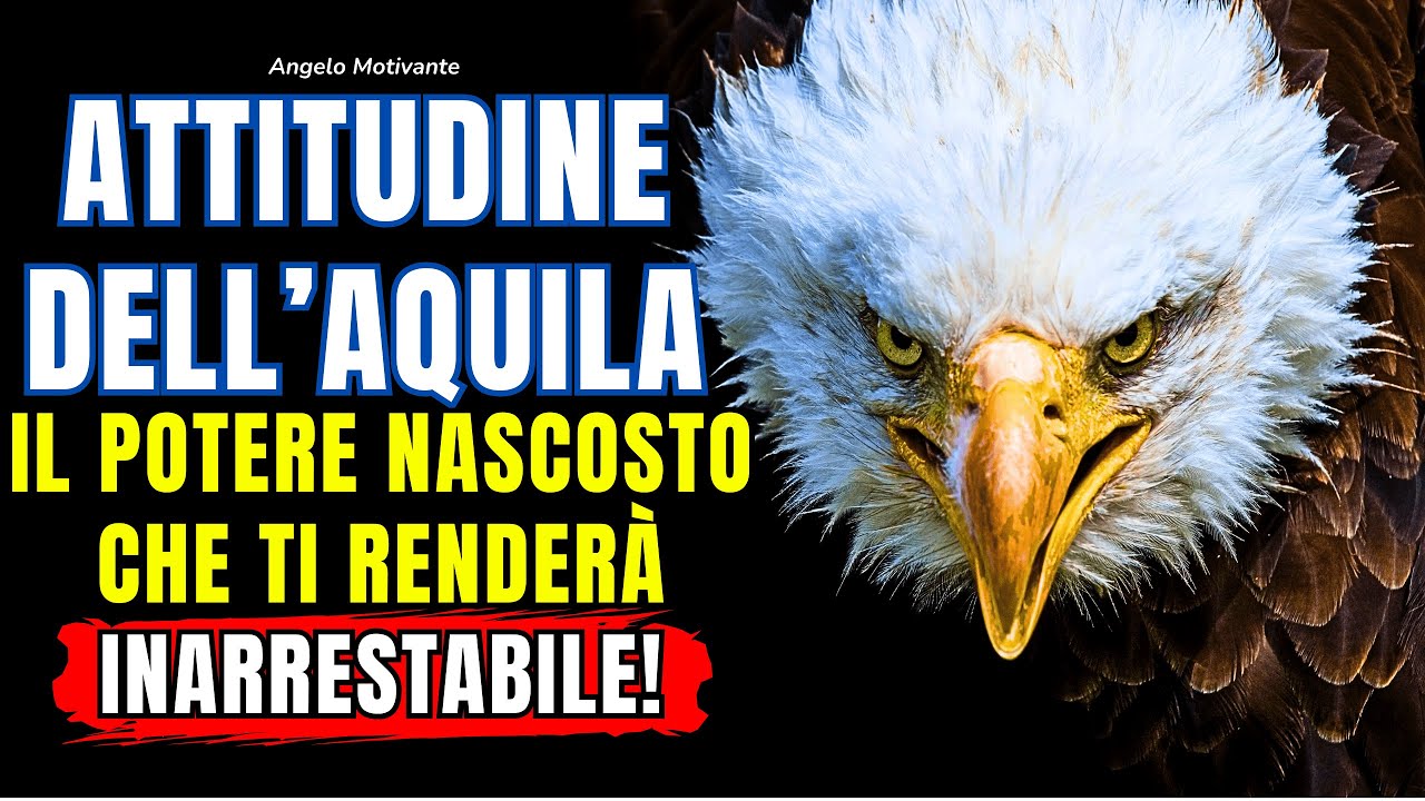 Il Potere Nascosto: Scopri L’Attitudine Segreta dell’Aquila Che Cambierà il Tuo Modo di Essere!