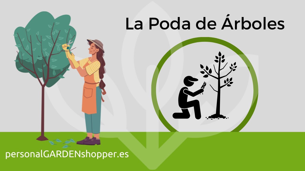 La Poda de &Aacute;rboles