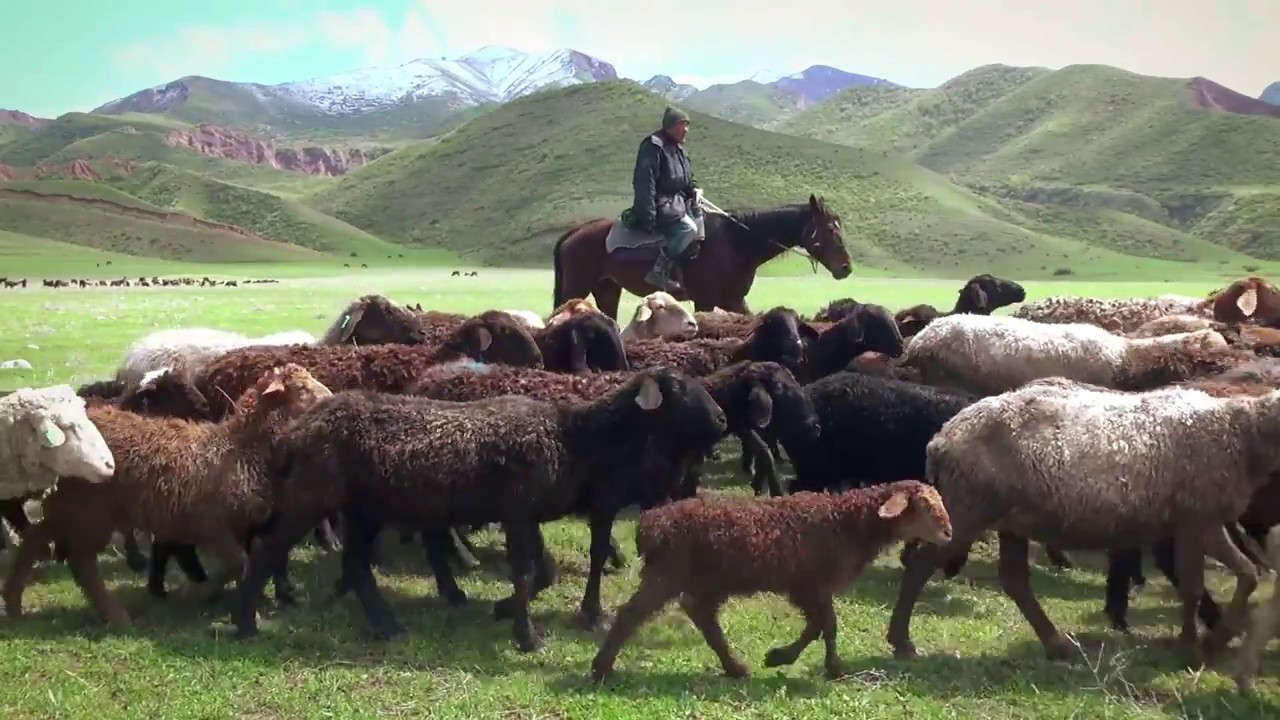 The Value of Land - Kyrgyzstan