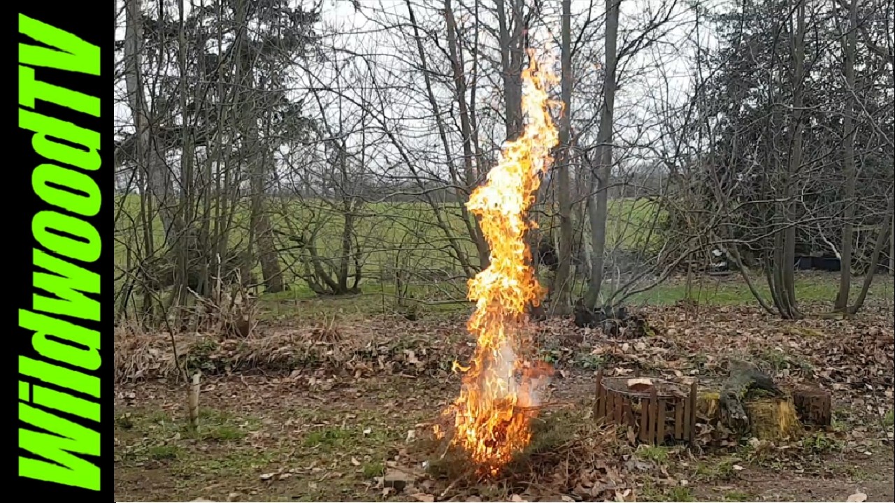 Woodland jobs in February #mowing #burningbrash #treeplanting