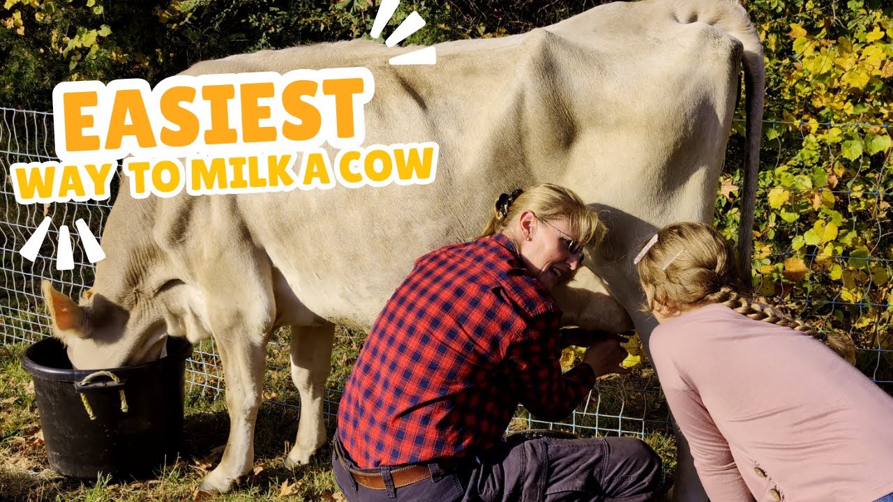 You Won’t Believe HOW EASY Hand Milking a Cow Can Be!