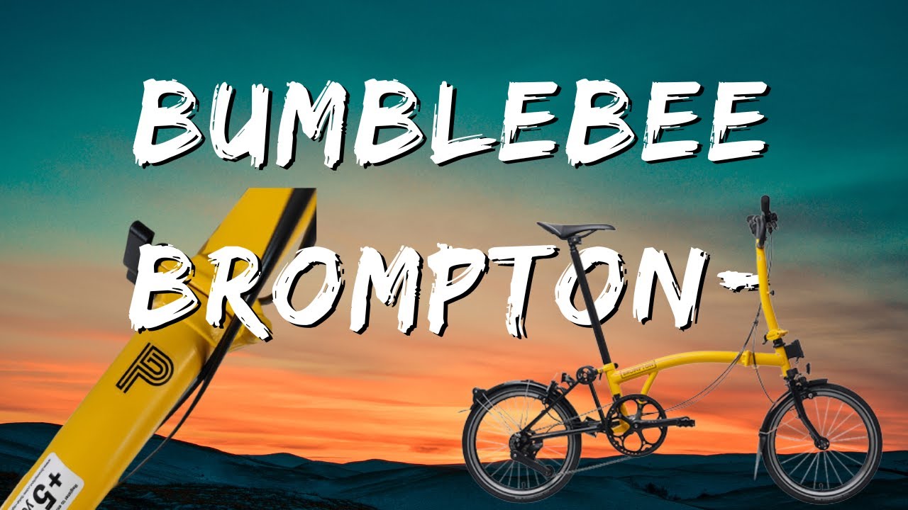 Yellow Brompton First Impressions 2023