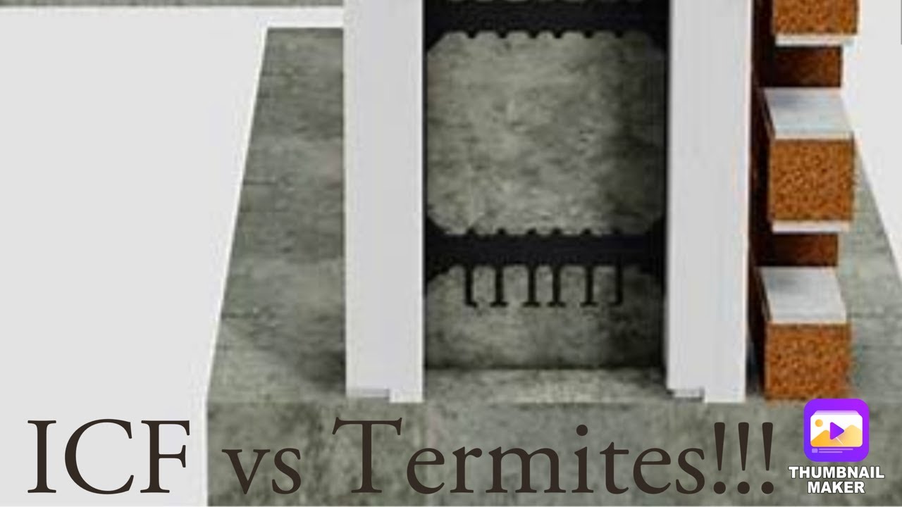 Termites and ICF?!?!