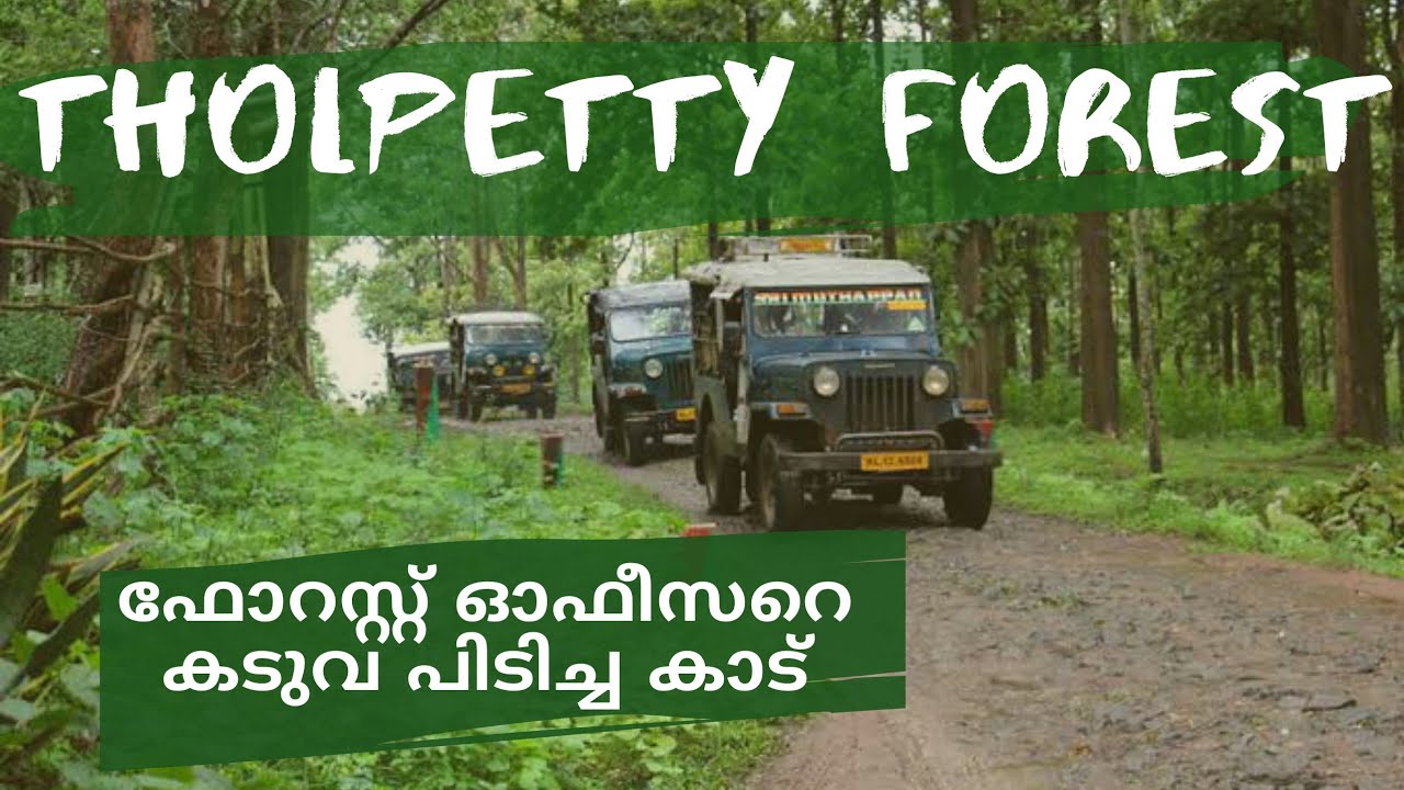 Tholpetty forest/ഫോറസ്റ്റ് ഓഫീസറെ കടുവ പിടിച്ച  കാട്