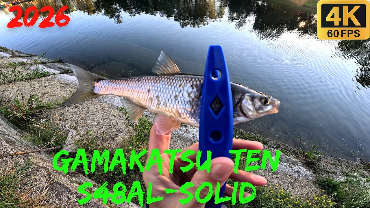 Мормышинг на ельца  с Gamakatsu LUXXE Yoihime Ten S48AL-solid