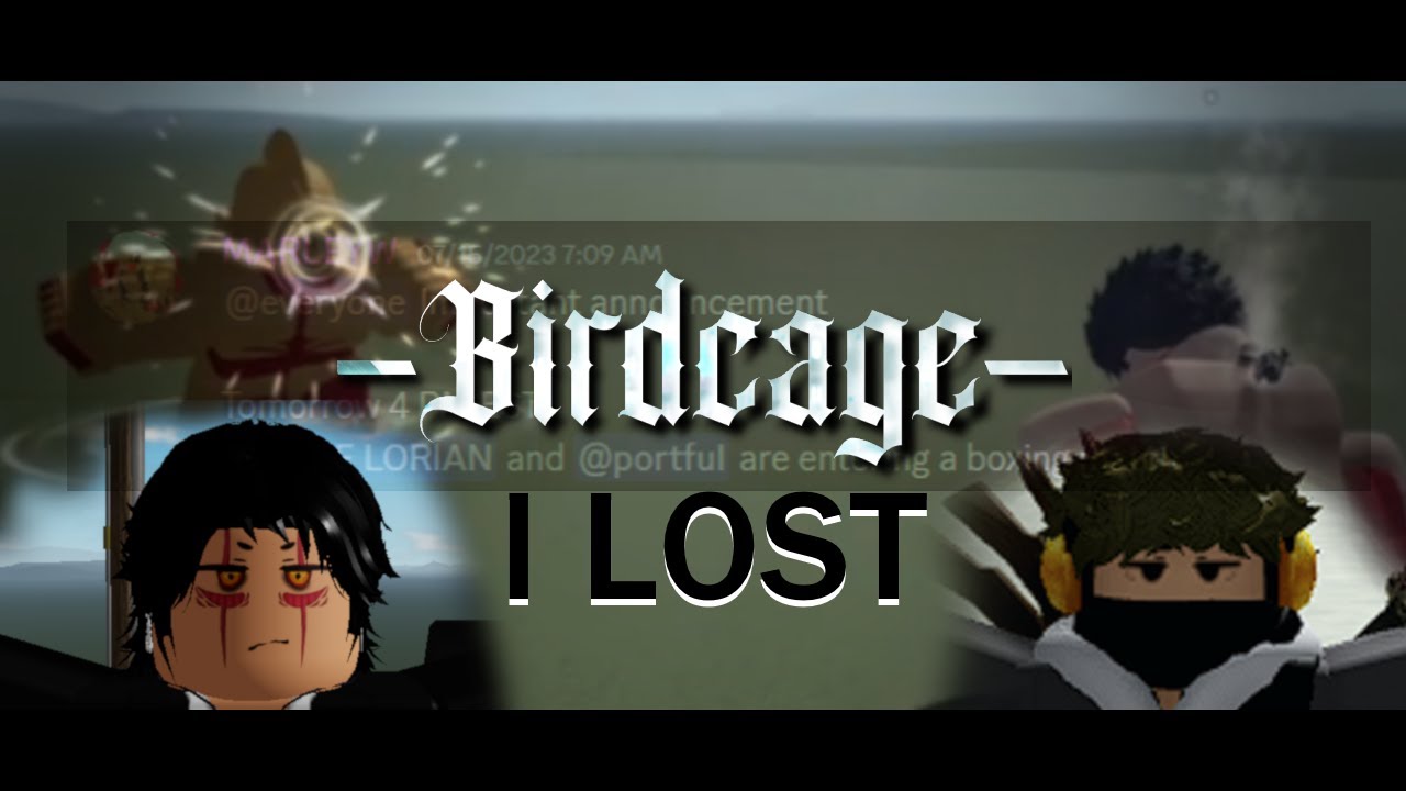 I LOST | BIRDCAGE