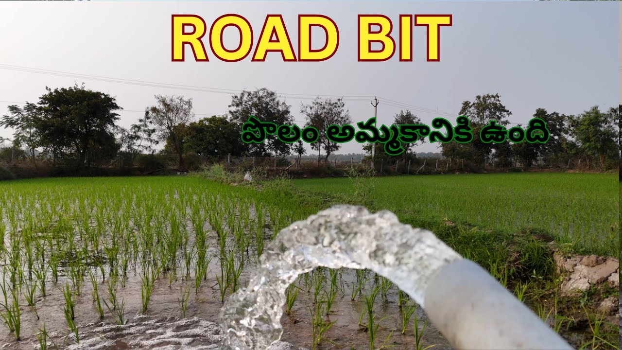 BT ROAD BIT | URGENT | పొలం అమ్మకానికి ఉంది