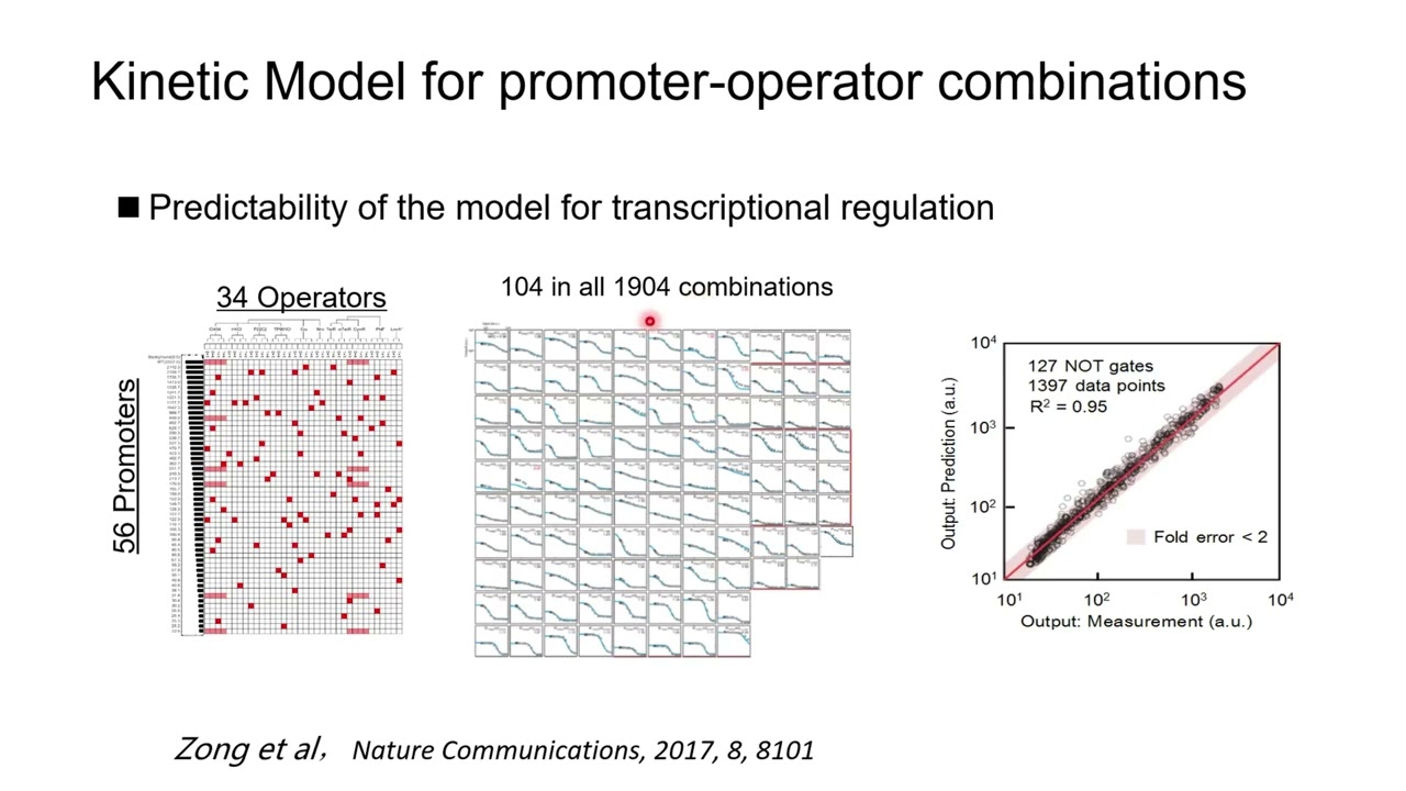 Chunbo Lou - Predictive Design of Genetic Circuit by Kinetic- or AI-Models