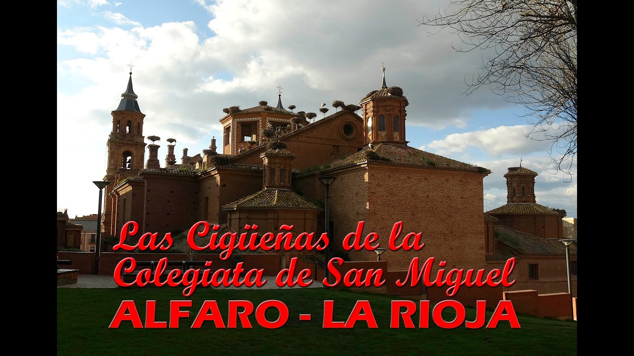 ALFARO - CIGÜEÑAS EN LA COLEGIATA DE SAN MIGUEL 28-03-2025