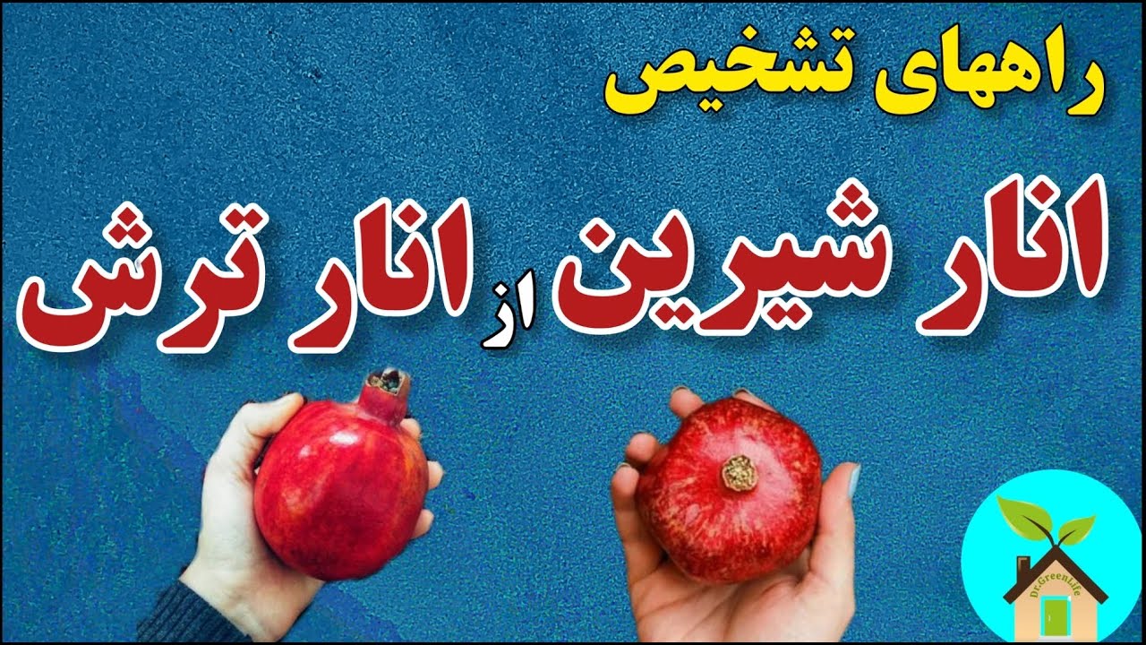 راه‌های تشخیص انار شیرین از انار ترش و انار رسیده از انار نارس