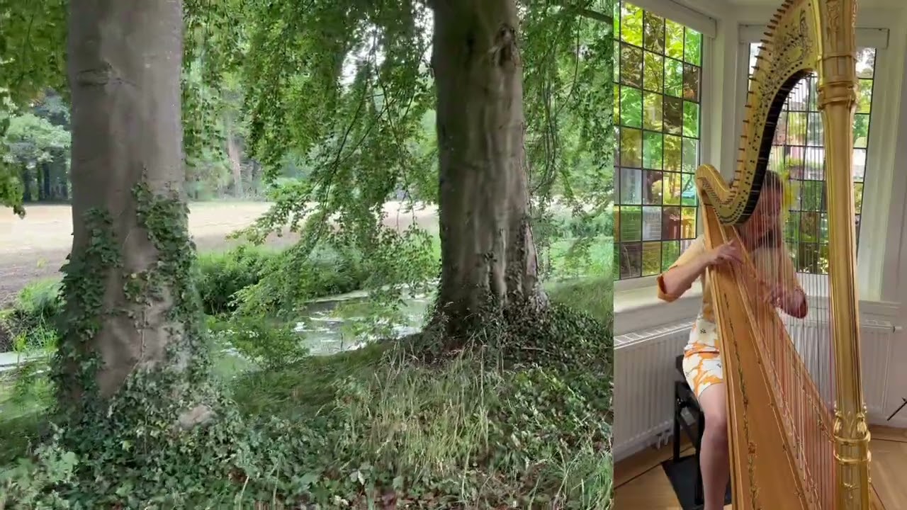 Versteegh, Michael - Awakening, Suite for Celtic harp