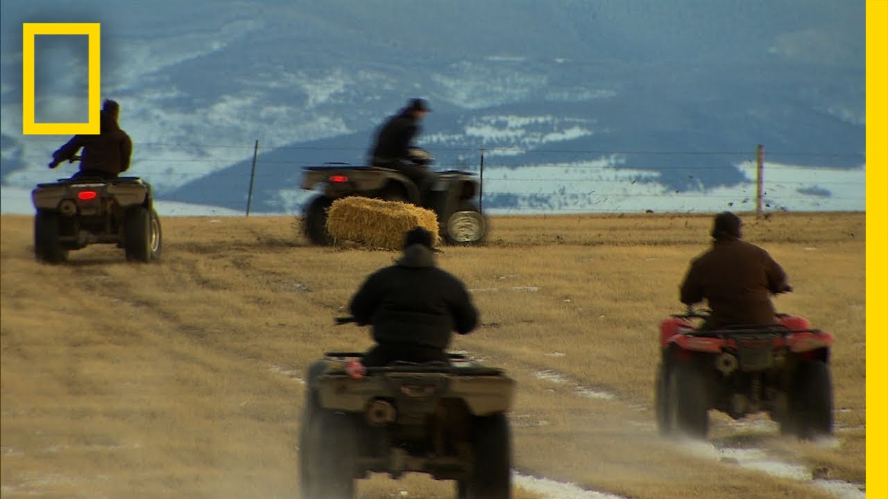 Four Wheeler Race | American Colony: Meet the Hutterites