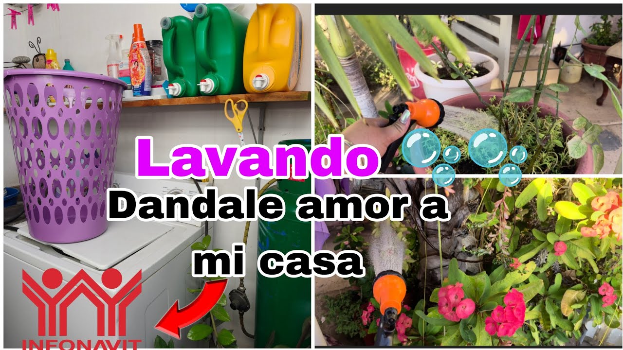 Mi casita Infonavit 🏡🫧🏡 día de lavado Dándole amor a mis plantas 😻🫶♥️ Día muy productivo 