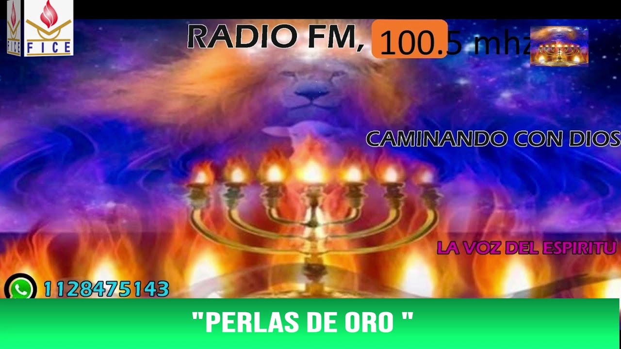 perla de oro