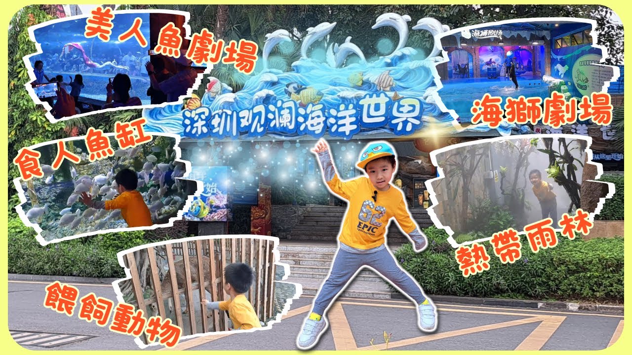 觀瀾湖三部曲二: 深圳壯觀景點😲，超大型場館 - 觀瀾湖海洋世界 | 雍雍遊內地第二集(附CC字幕) | 海洋生物 | 餵飼動物 | 劇場表演 | 親子互動