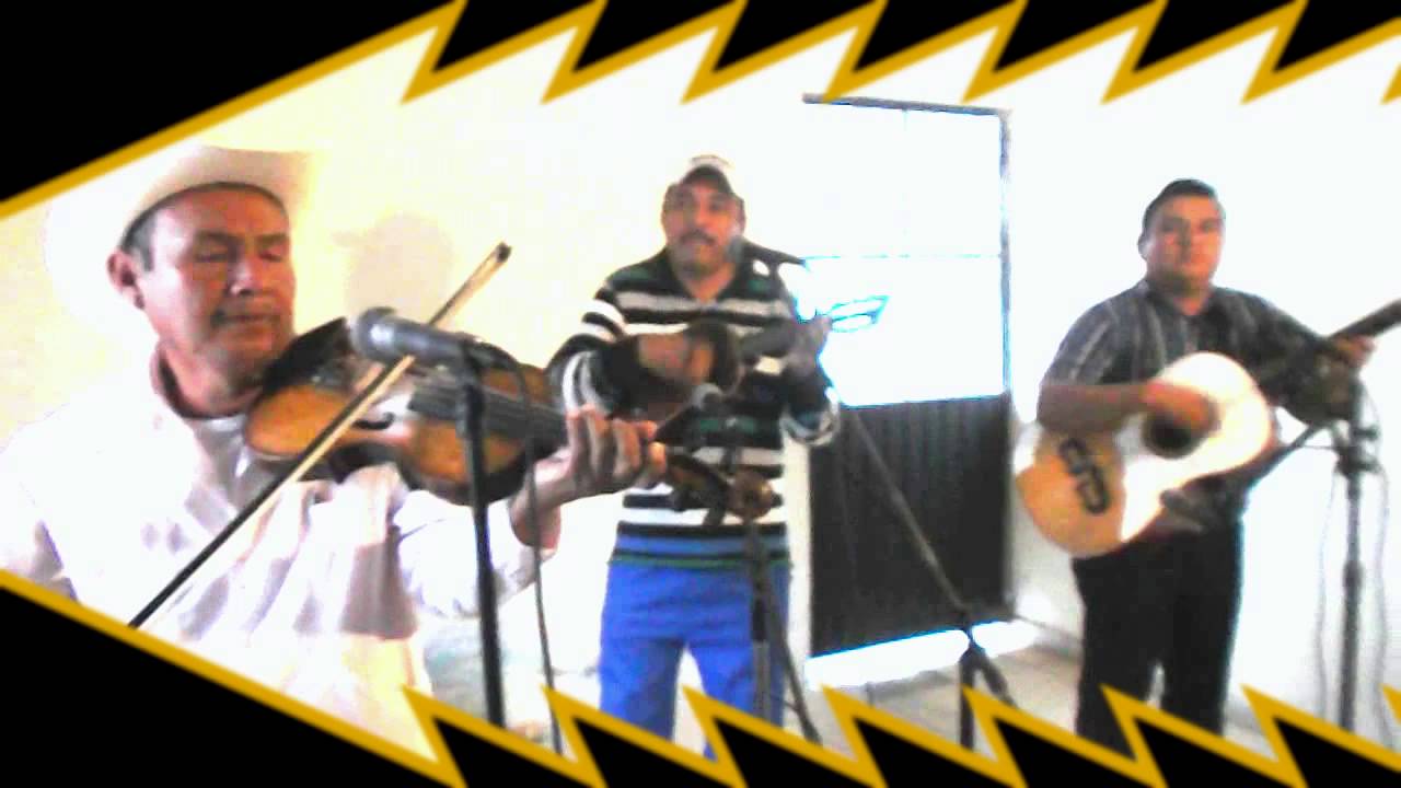 trovadores de panuco del viejo camalote 2013