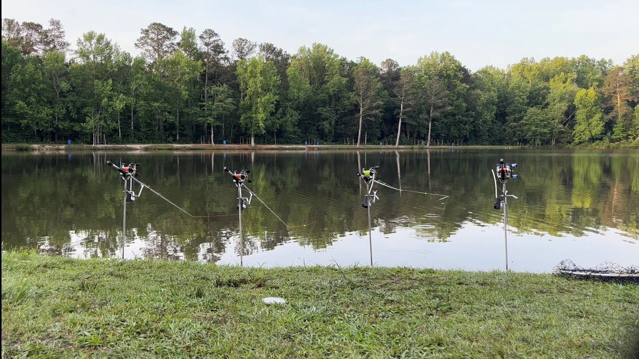 Fun Fishing - Short Carp Session with New Equipment