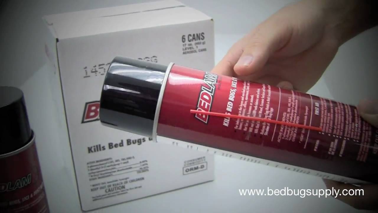 Bedlam Bed Bug Spray Review (how to use)