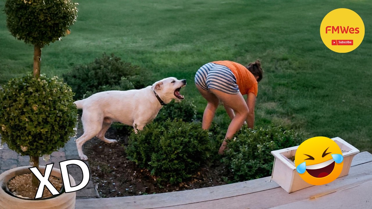 SI TE RÍES PIERDES NIVEL DIOS #659😂 Los Videos Graciosos Y Memes Más Virales Del 2026 😁