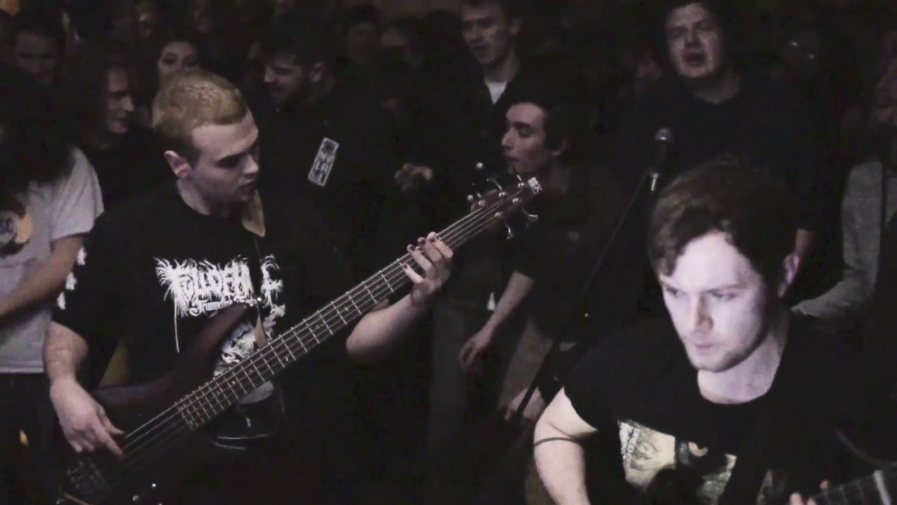 Tetrachromat Record Release