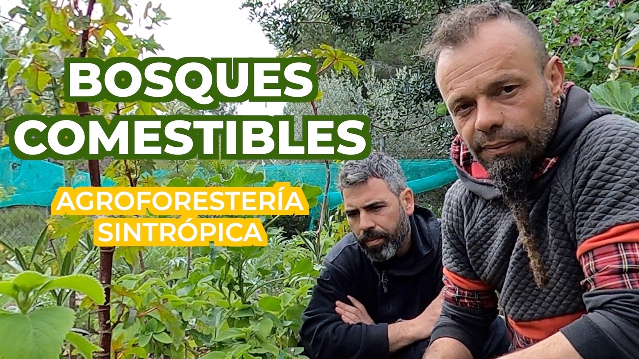 Regenerar produciendo alimentos. Abundancia Real. ¿El futuro de la agricultura?