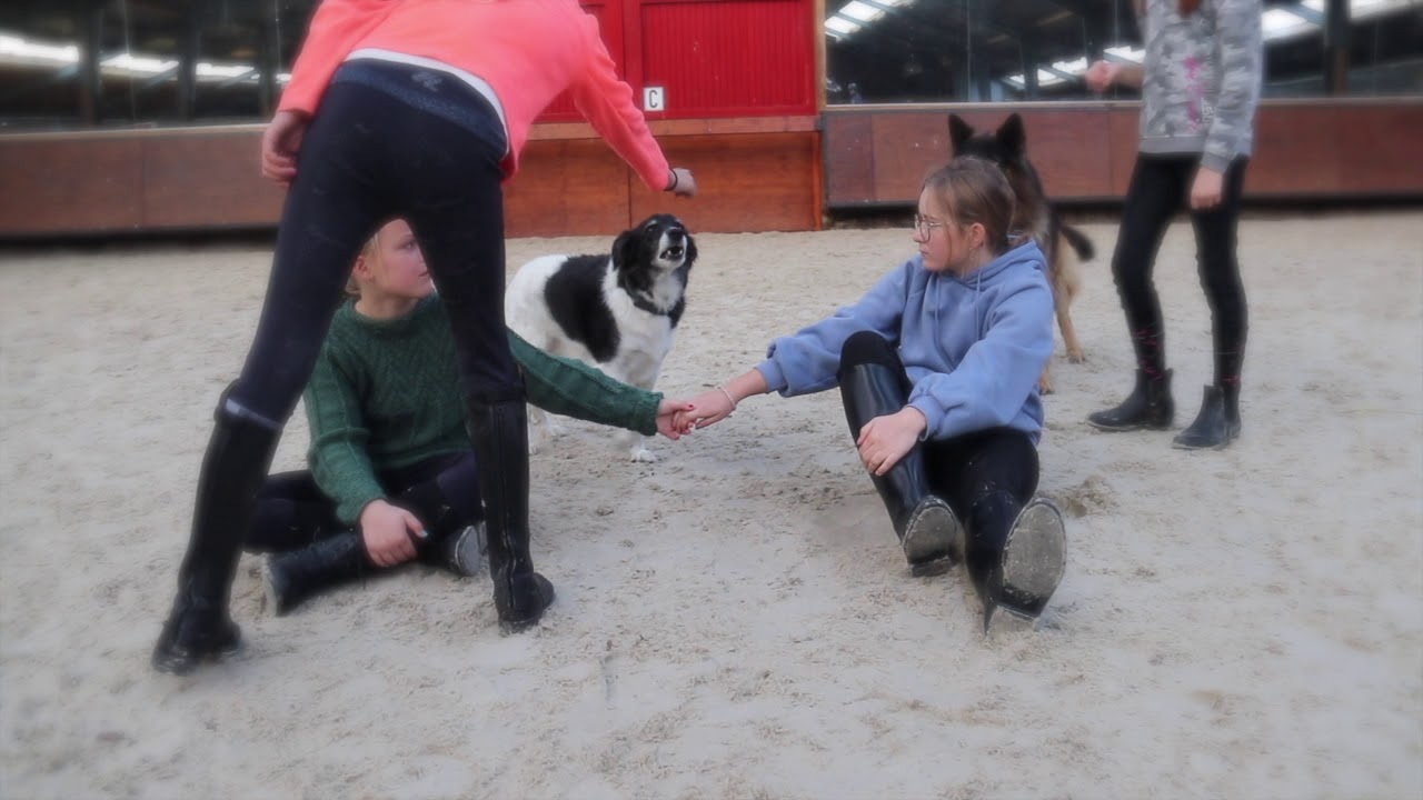Manege Emmelerbos danst Jerusalema