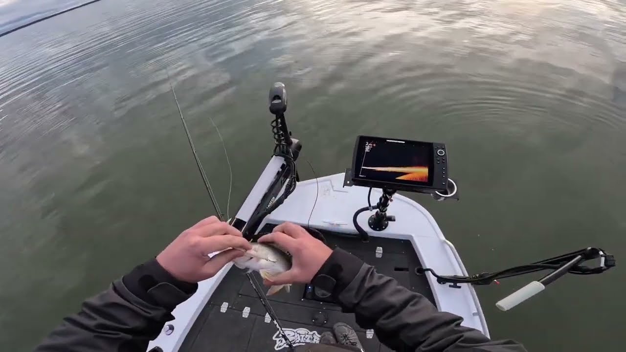 Arvo Redfin fishing @ Waranga basin