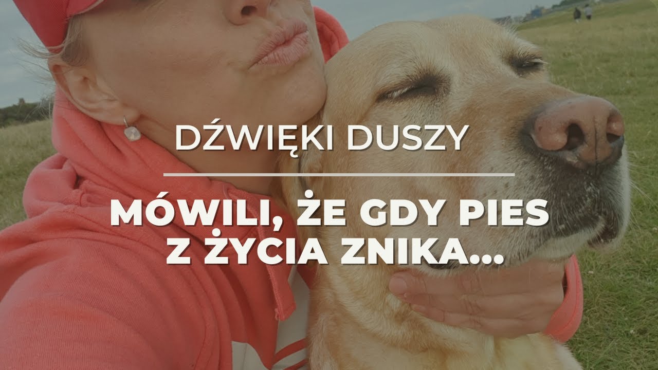 MÓWILI, ŻE GDY PIES Z ŻYCIA ZNIKA...