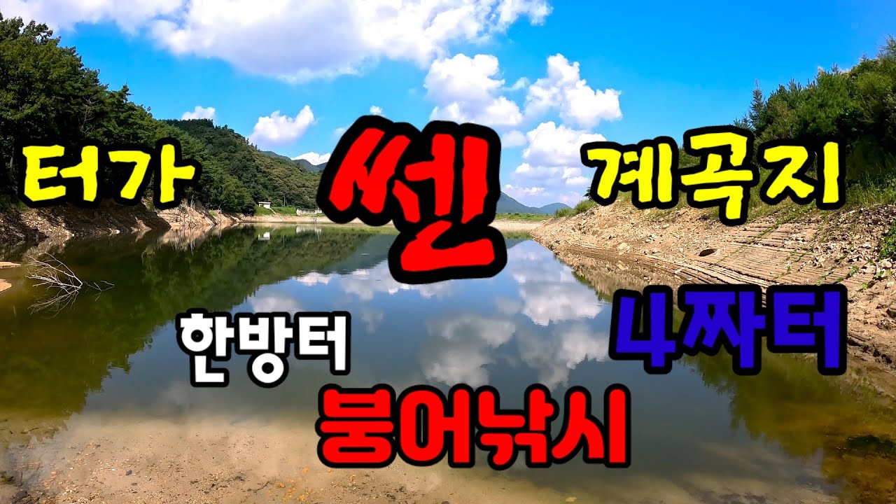붕어낚시 잡으면 4짜붕어이상 터가 쎈 계곡지 드디어 월척붕어만나나?#붕어낚시 #4짜붕어#대물붕어#계곡지붕어 #거창계곡지