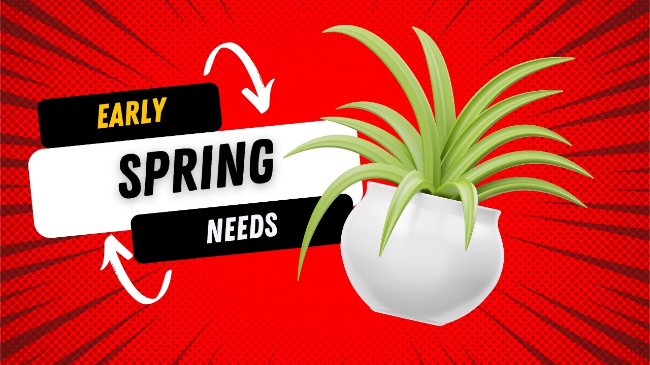Early Spring Prep 🌱 | 10 Amazon Finds to Get Your Home Spring-Ready