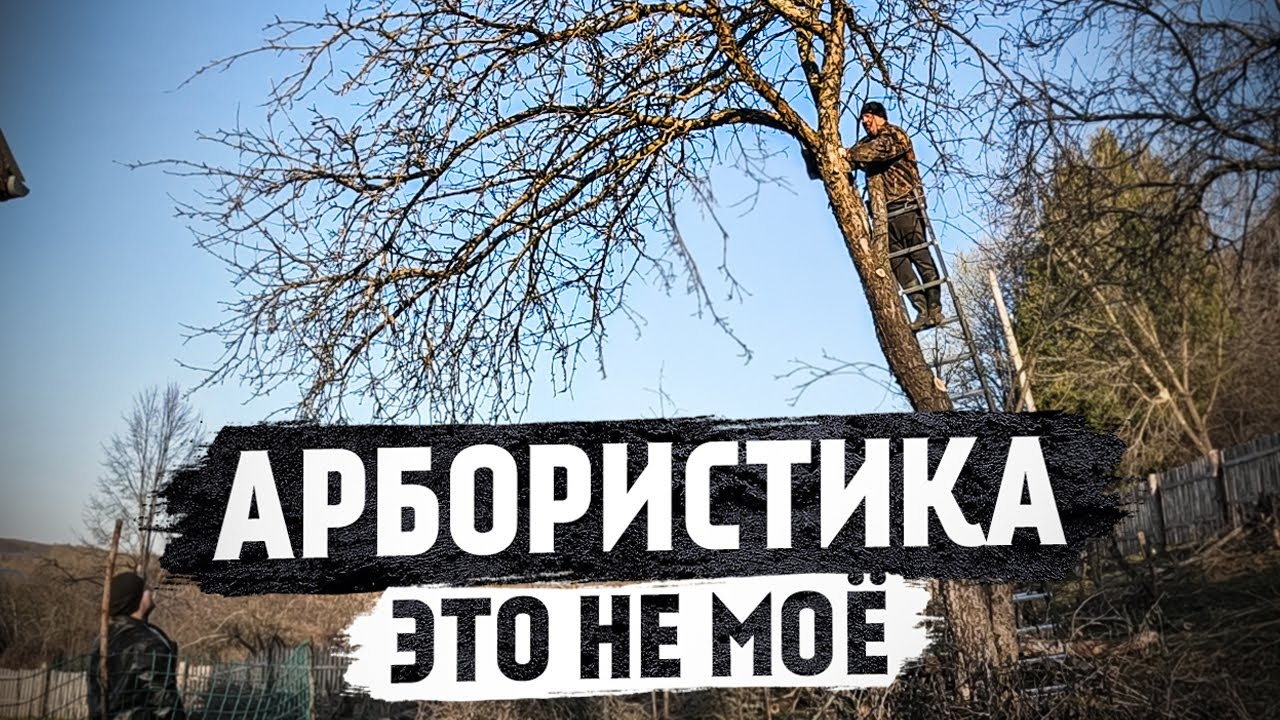 Заберите у него пилу, участок преобразился и стал больше